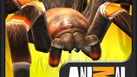 Afraid of spiders? Then don't play Animal Planet's Real Scary Spiders game