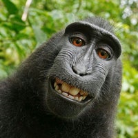 Camera apps for selfies