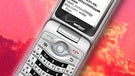 Verizon to sell the BlackBerry Pearl Flip 8230 on June 19