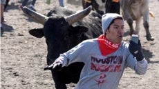 Best selfies: 30 funny, historic, embarrassing or adventurous snaps