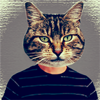 Animal Face for Windows Phone shows off your animal magnetism