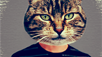 Animal Face for Windows Phone shows off your animal magnetism