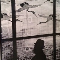 Photos taken with Nokia Lumia 920 and 1020 went on exhibit in New York City gallery