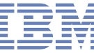 IBM to raise $100 million to develop services for mobile phones