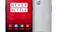 Is OnePlus a wholly owned subsidiary of Oppo? Chinese document suggests that the answer is yes