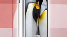 T-Mobile myTouch 3G officially announced