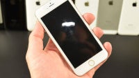 iPhone 6 dummy gets snapped alongside the entirety of the iPhone family and its main rivals