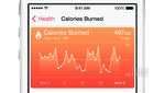 Apple's Health app is the hypochondriac's dream: convergence of all your health and fitness data