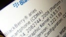 RIM and Verizon postpone BlackBerry Aries 8530 to February?