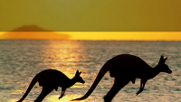 Windows Phone 8.1, Lumia Cyan get pushed out in Australia and New Zealand
