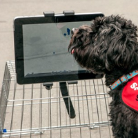 Class teaches dogs how to use tablets