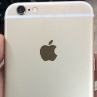 Pictures of gold Apple iPhone 6 leak; is this the real thing?