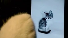 It’s not really the internet without cats: Lumia fan wins Nokia contest with a cute little video s