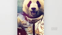 22 great iPhone 6 Plus cases and covers
