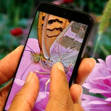 Android flagships to break the 24 MP camera res frontier, as OmniVision unveils two new stacked sensors