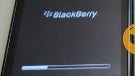 BlackBerry Storm 2 9520 poses for pretty pictures