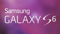 Samsung Galaxy S6 (SM-G920F) caught at Zauba