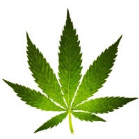 More troubles for Uber: driver crashes into police car, pot found