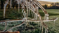 These 20 stunning photos were taken with the Note 4 by regular folks