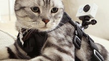 Xiaomi unleashes a $64 action cam to take on GoPro and pair with the Mi Band