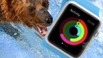 The Apple Watch was tested in gyms and climate-controlled environments simulating Alaska and Dubai
