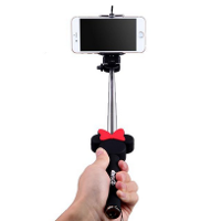 Disney bans selfie sticks from rides and attractions at its parks