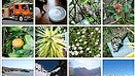 Flickr app for the iPhone is finally a reality
