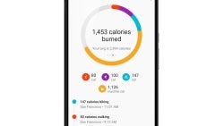 Google Fit gets Android Wear watch face, will now estimate burned calories