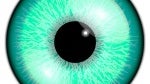 Spotlight: Iris lets you walk the street and use apps without bumping into human and non-human objects