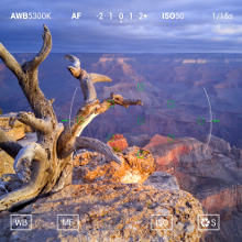 Do you use the manual controls of your camera app?