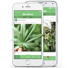 Best apps for weed lovers and assorted pothead dispensaries