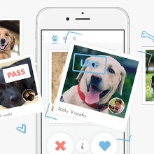 Tindog app is Tinder... for dog owners