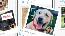 Tindog app is Tinder... for dog owners