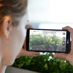 LG G4 Beat (G4s) officially announced as a Snapdragon 615-powered mid-ranger