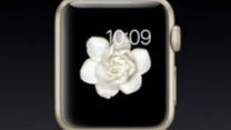 New Apple Watch colors and bands are announced