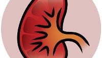 Two Chinese men each planned on selling a kidney in order to buy the Apple iPhone 6s