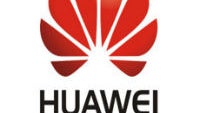 Huawei Nexus may offer up to 128GB of storage