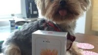 This lucky California girl received her Rose Gold iPhone 6s three days early and lit up Twitter with photos and videos