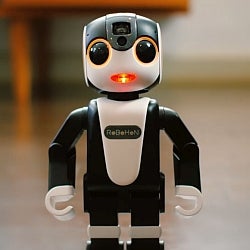 The Sharp RoBoHon is a bipedal robot that's also a smartphone