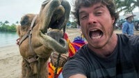 Did you know: this man took hundreds of adorable selfies with wild animals!