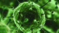 Images used by at least 60 games from the Google Play Store are spreading viruses on Android phones