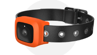Motorola's smart dog collar to be unveiled at MWC along with other connected wearables
