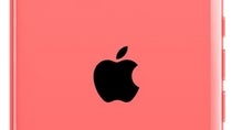 San Bernardino victims oppose Apple in battle to open terrorist's iPhone 5c
