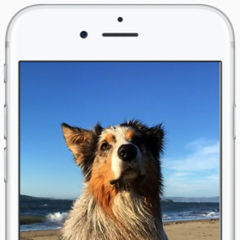 Google Photos for iOS updated with support for Live Photos and Split View