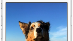 Google Photos for iOS updated with support for Live Photos and Split View
