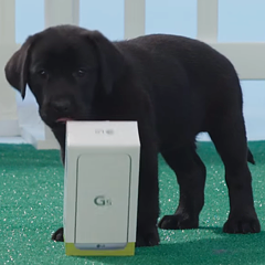 This Verizon LG G5 unboxing video is probably the cutest you've seen in a while