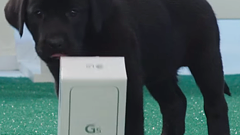 This Verizon LG G5 unboxing video is probably the cutest you've seen in a while