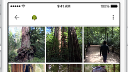 Google Photos celebrates first anniversary with 200 million users