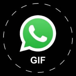 WhatsApp getting GIF support soon