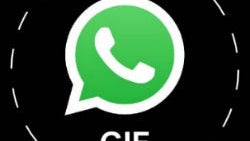 WhatsApp getting GIF support soon